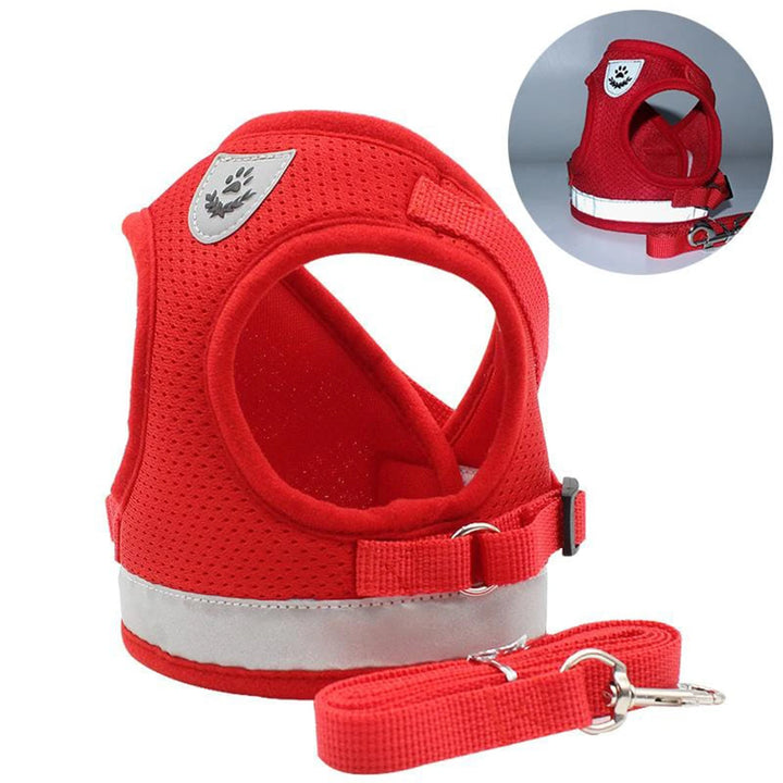 Breathable Cat and Small Dog Harness Lightweight Safe and Visible