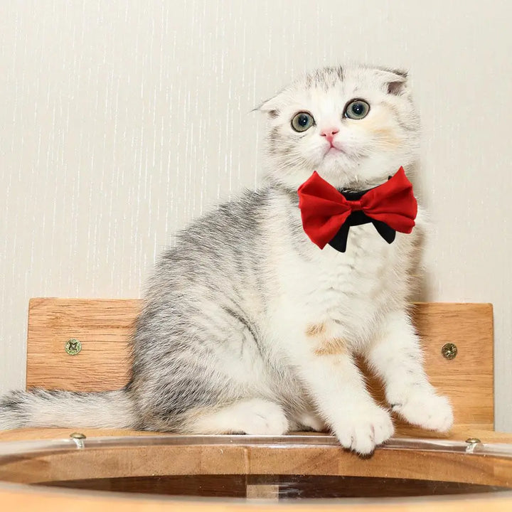Dog &amp; Cat Bow Tie – The Style That Says “I Love You”