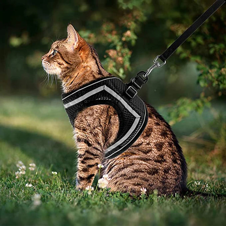 Breathable Cat and Small Dog Harness Lightweight Safe and Visible