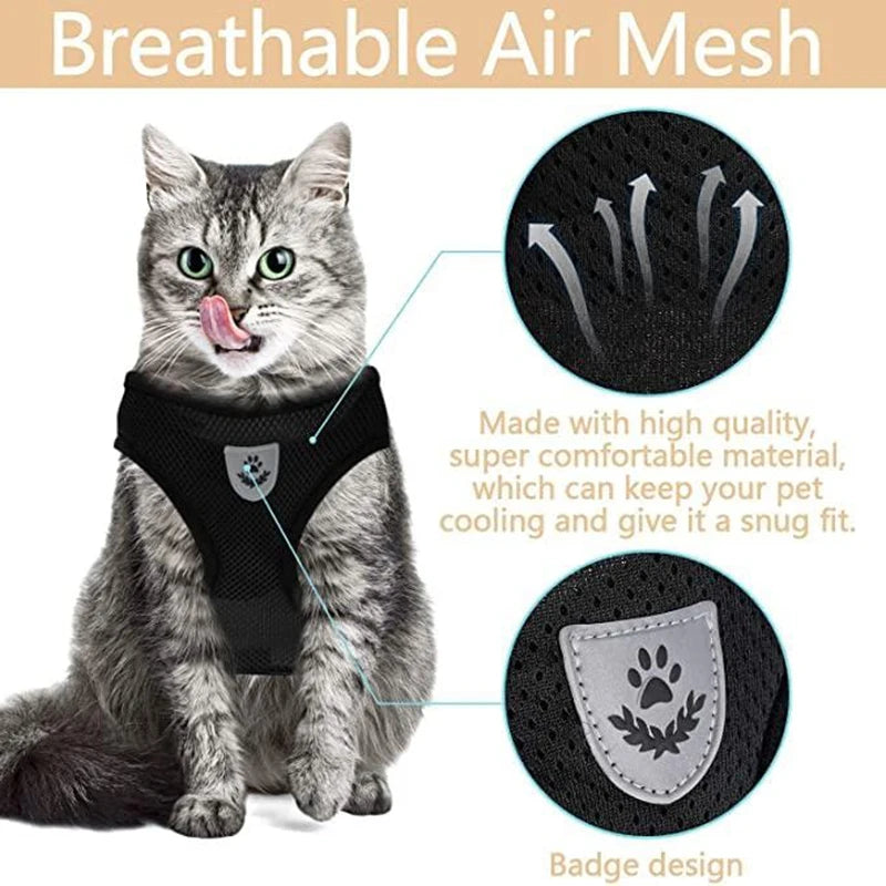 Breathable Cat and Small Dog Harness Lightweight Safe and Visible