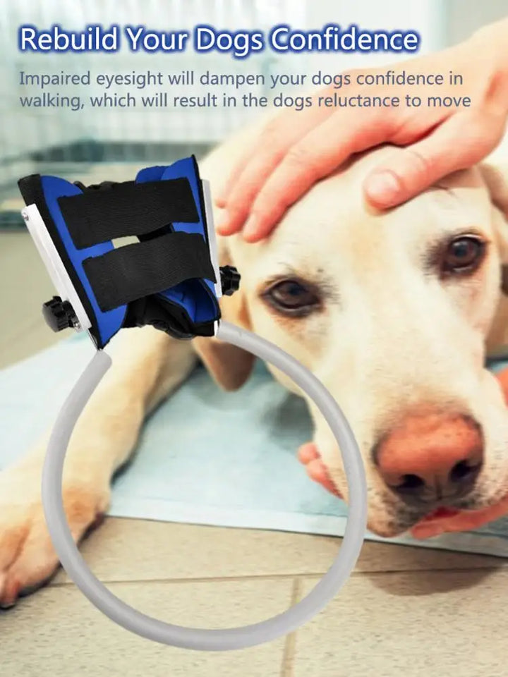 Harness for blind dogs: see without seeing, move forward without fear