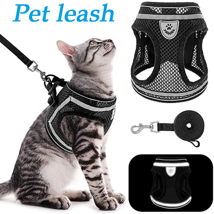 Breathable Cat and Small Dog Harness Lightweight Safe and Visible