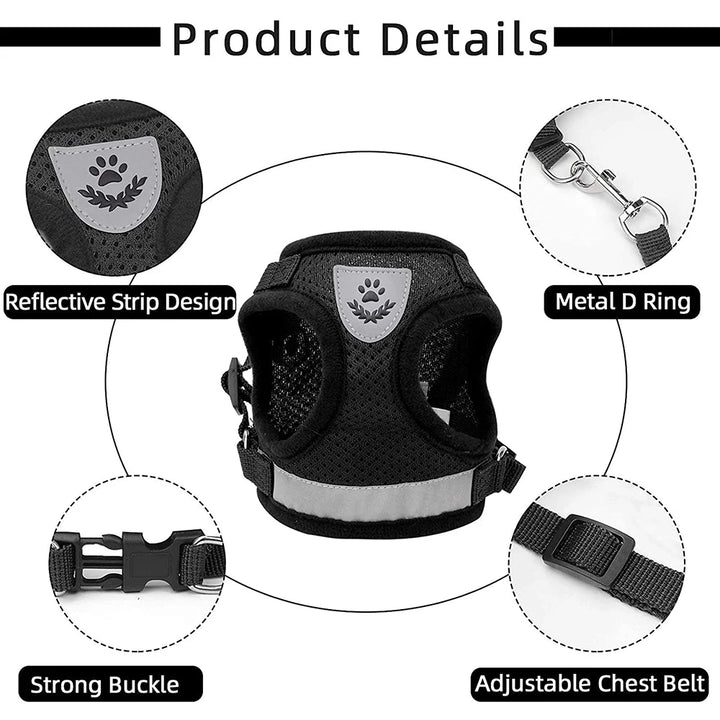 Breathable Cat and Small Dog Harness Lightweight Safe and Visible