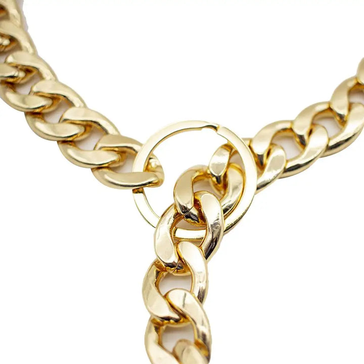 Powerful gold dog collar: understated, stately, made for real bonds