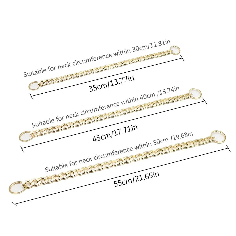 Powerful gold dog collar: understated, stately, made for real bonds
