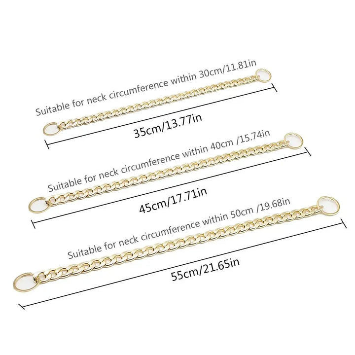 Powerful gold dog collar: understated, stately, made for real bonds