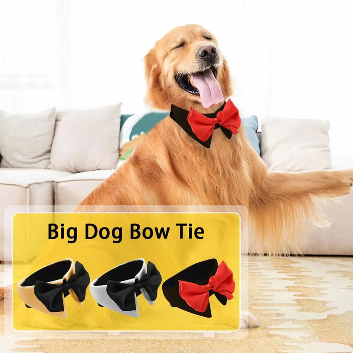 Dog &amp; Cat Bow Tie – The Style That Says “I Love You”