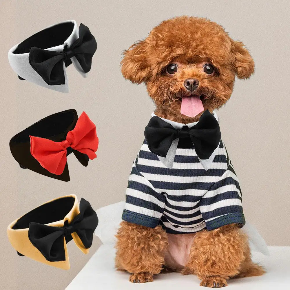 Dog &amp; Cat Bow Tie – The Style That Says “I Love You”