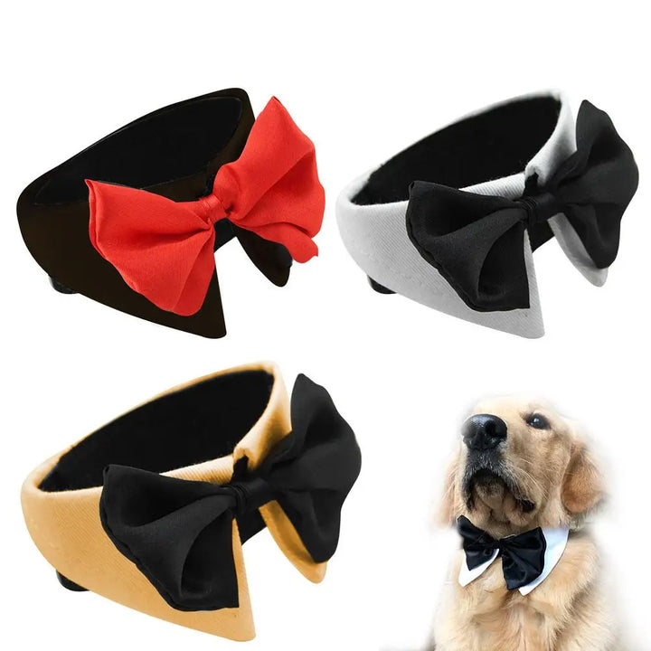 Dog &amp; Cat Bow Tie – The Style That Says “I Love You”
