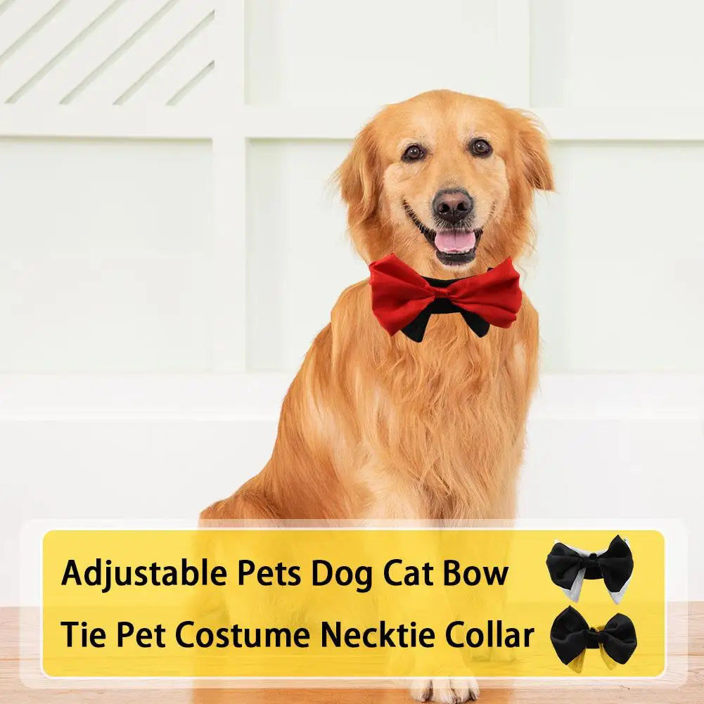 Dog &amp; Cat Bow Tie – The Style That Says “I Love You”