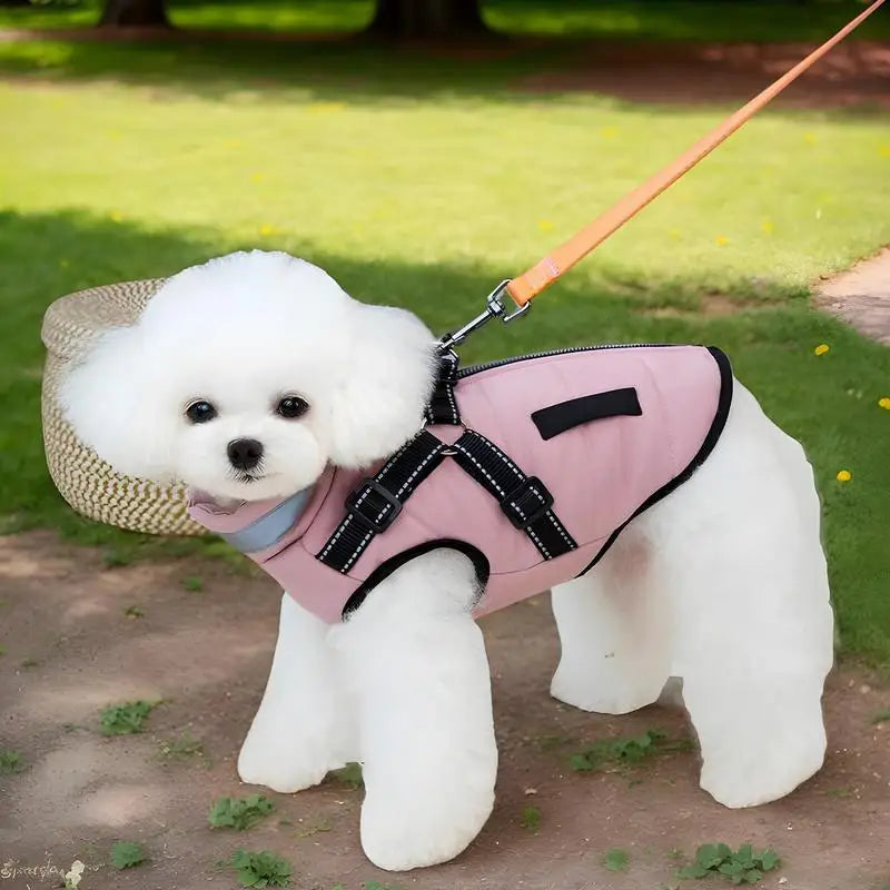Stylish lined waterproof dog coat