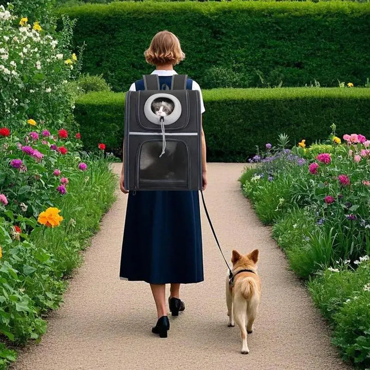 Cat &amp; small dog backpack: comfortable, foldable and always ready to go