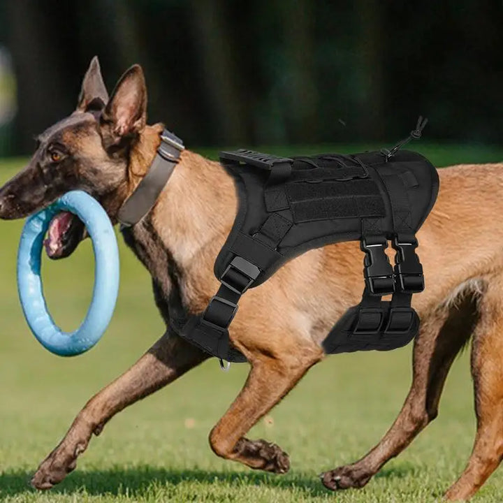 Adjustable Powerful Dog Harness – Force Respected Guided Freedom