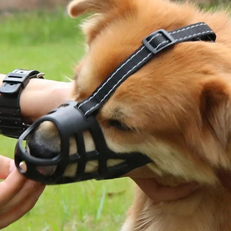 Soft muzzle for sensitive dogs loved and protected