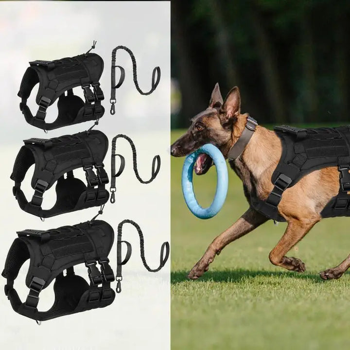 Adjustable Powerful Dog Harness – Force Respected Guided Freedom