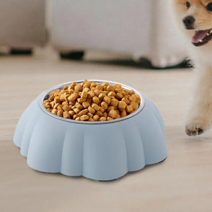 Sloped Cat Bowl – Healthy Eating, Simply