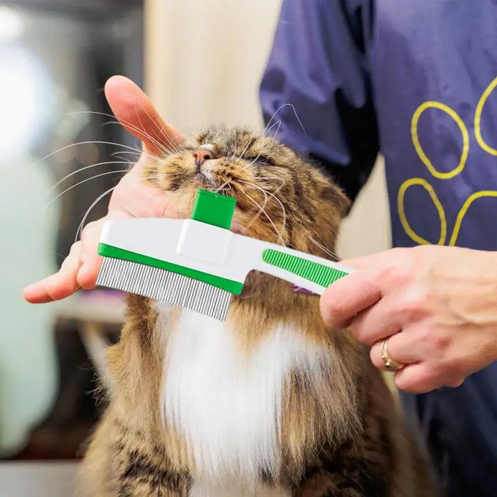Cat grooming brush: softness, care and strengthened bond