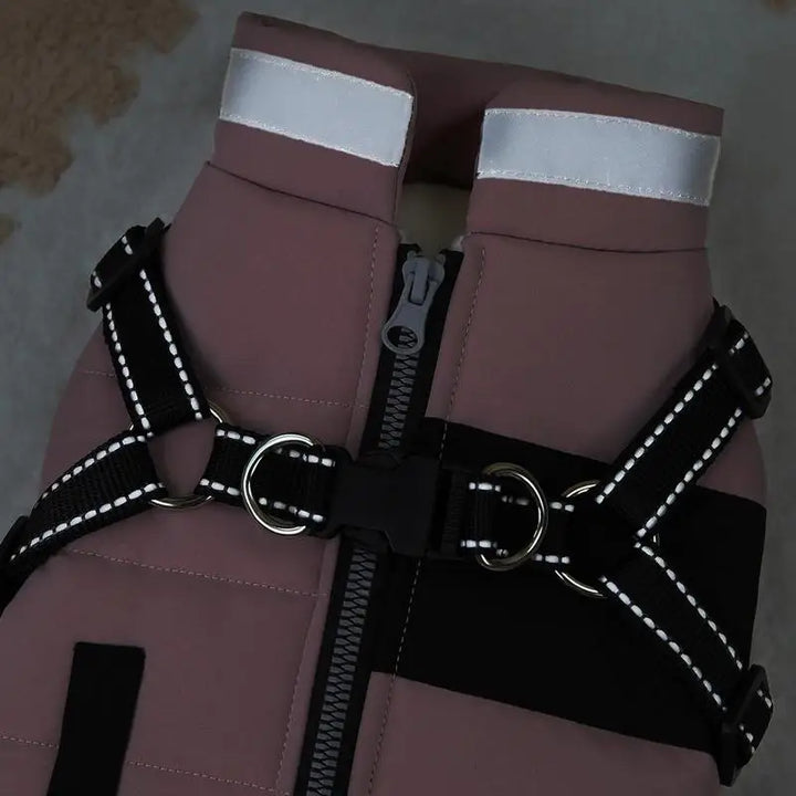 Stylish lined waterproof dog coat