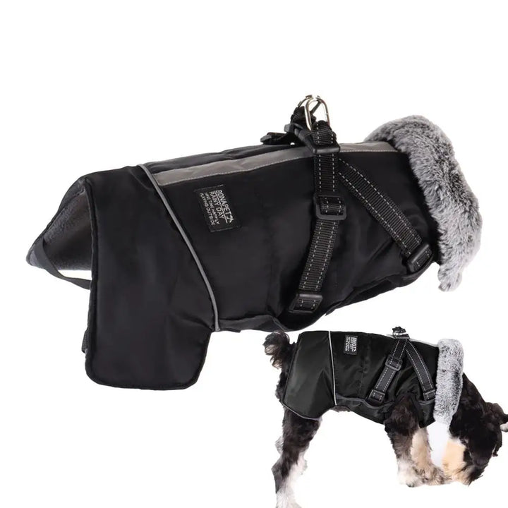 Triple-layer coat with integrated harness and warm collar