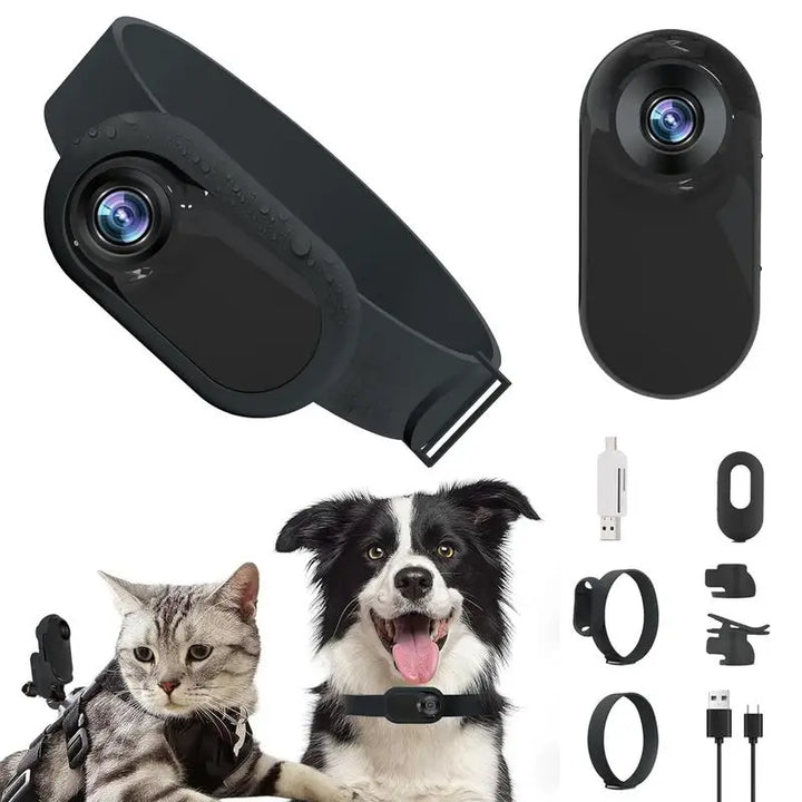 Cat Collar Camera: Capture His Adventures in HD