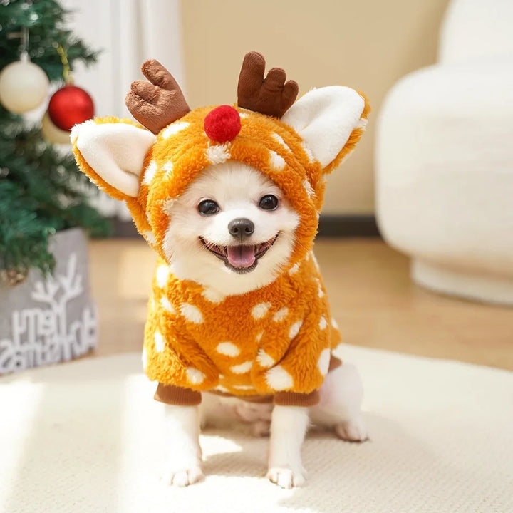 Reindeer Costume for Dogs: Warmth, Softness, Cute Photos