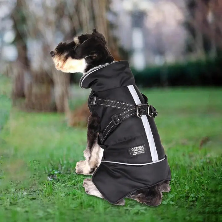 Triple-layer coat with integrated harness and warm collar