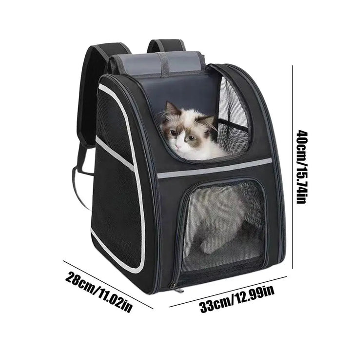 Cat &amp; small dog backpack: comfortable, foldable and always ready to go
