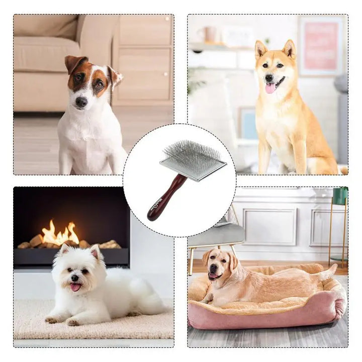Wooden dog and cat brush comb: calm and friendly care