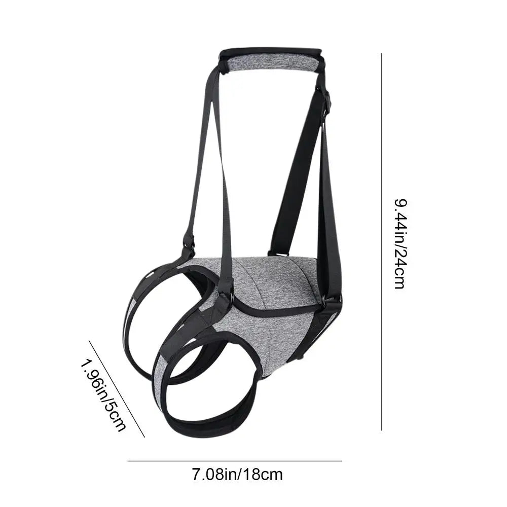 Back harness for older dogs, gentle and respectful support