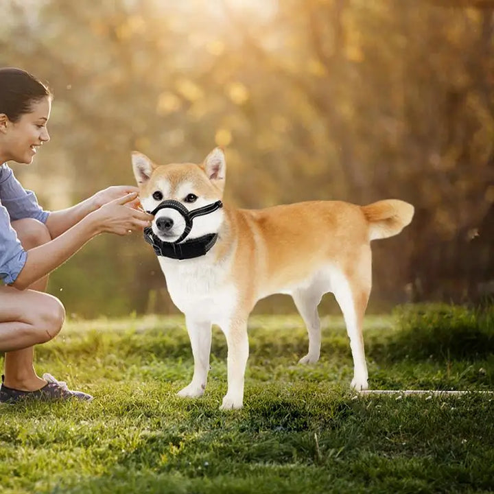 Reflective dog muzzle: nighttime safety &amp; absolute comfort