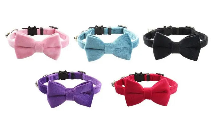Dog &amp; Cat Bow Tie Collar: Understated Chic, Visible Love, Precious Memories