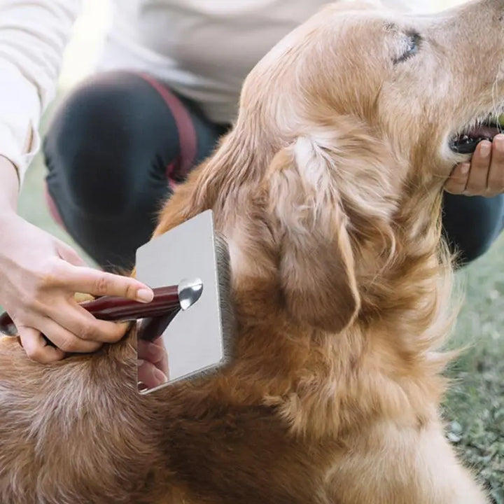 Wooden dog and cat brush comb: calm and friendly care