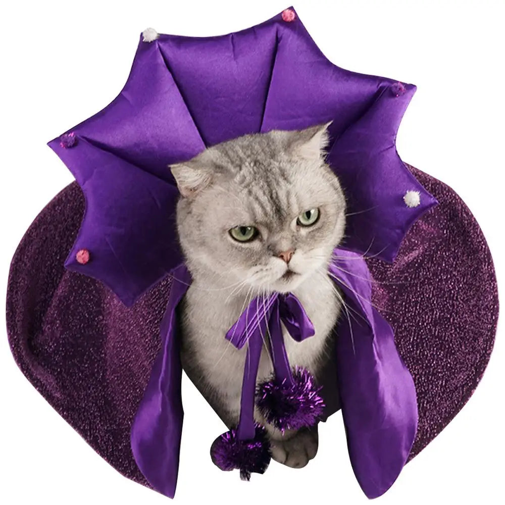 Dog &amp; Cat Witch Costume: Light, Shiny &amp; Irresistible
