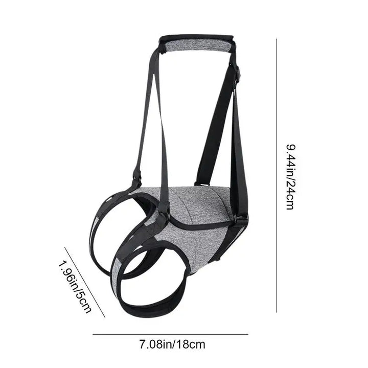 Back harness for older dogs, gentle and respectful support