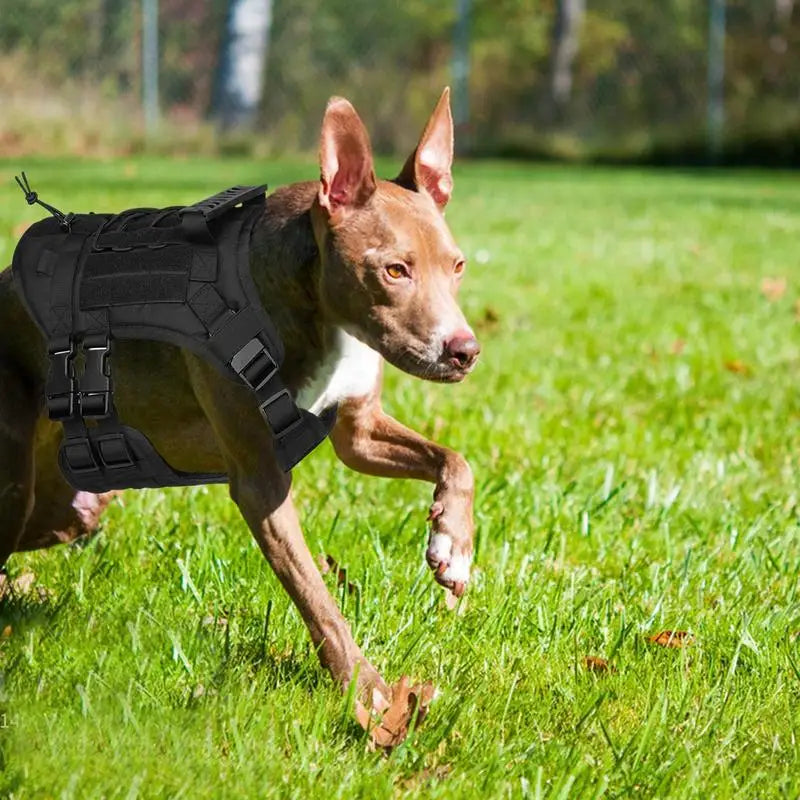 Adjustable Powerful Dog Harness – Force Respected Guided Freedom