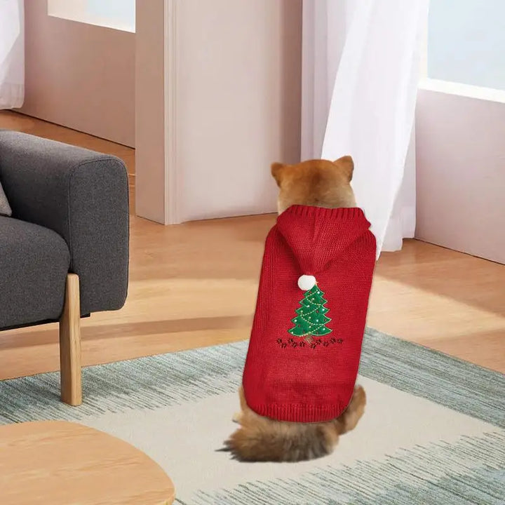 Dog Christmas sweater with matching hat for a magical moment