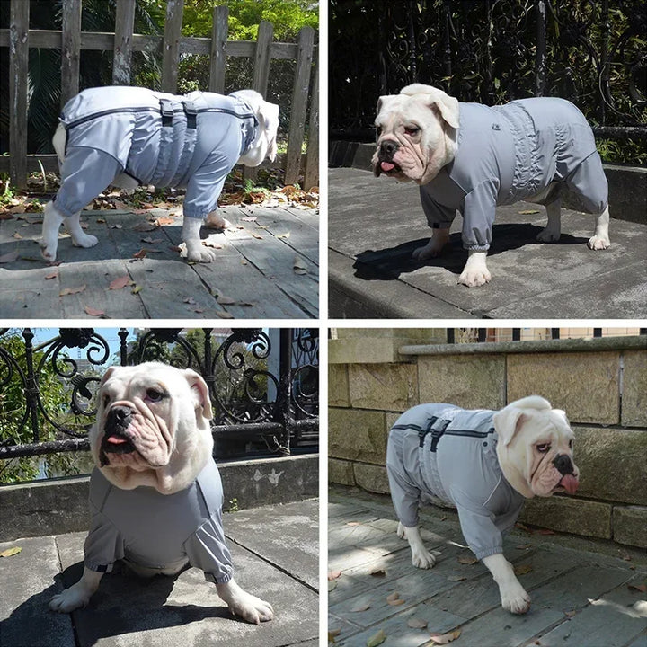 4-Paw Raincoat for Dogs – Comfort, Style &amp; Protection