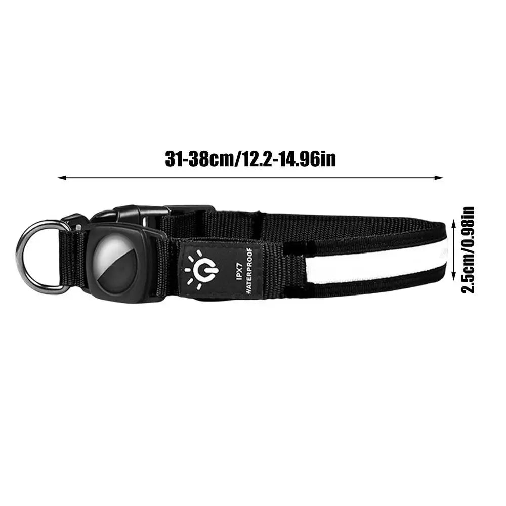 AirTag light-up dog collar: visible, locatable, reassuring day and night