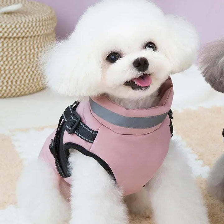 Stylish lined waterproof dog coat