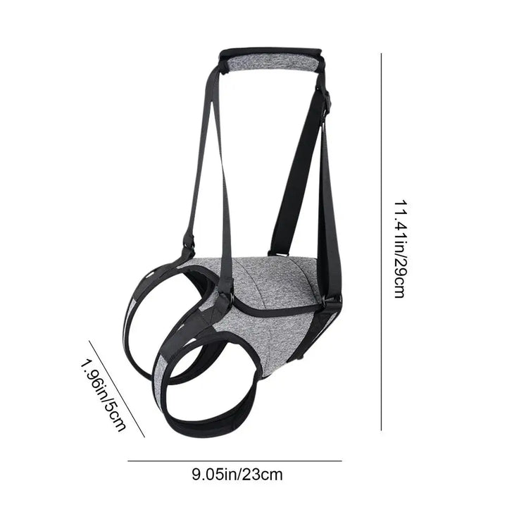 Back harness for older dogs, gentle and respectful support