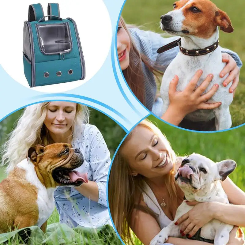 Foldable carrier bag for dogs and cats, secure and lightweight cocoon