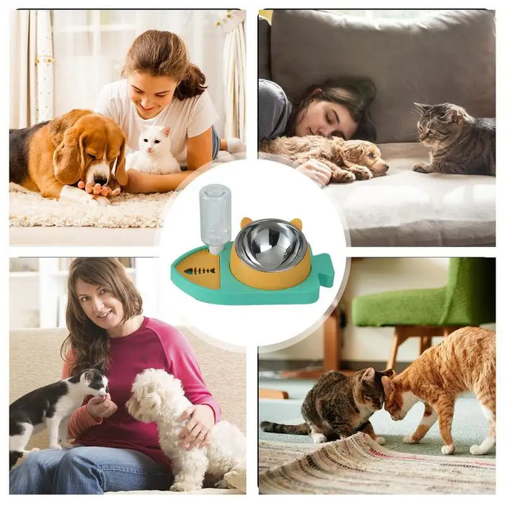 3-in-1 Cat Bowl – Hydrated, Well-Fed, Safe
