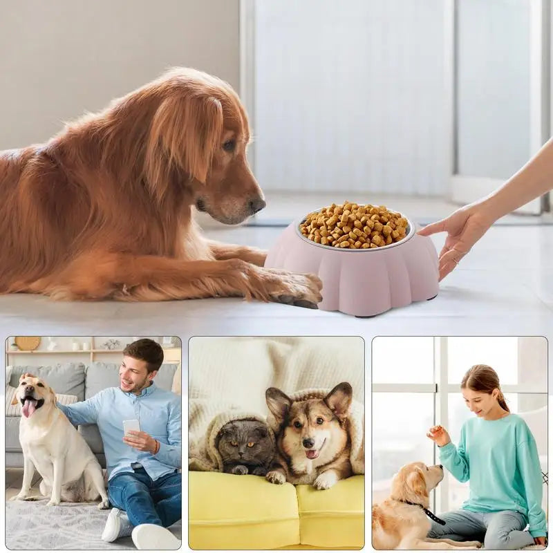 Sloped Cat Bowl – Healthy Eating, Simply