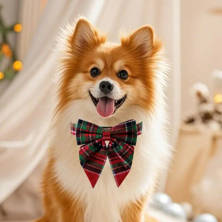 Bow Tie Dog Collar – Everyday Chic Elegance