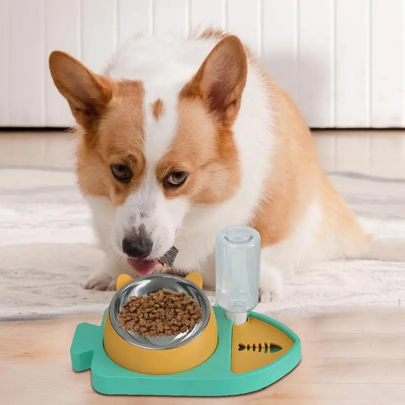3-in-1 Cat Bowl – Hydrated, Well-Fed, Safe