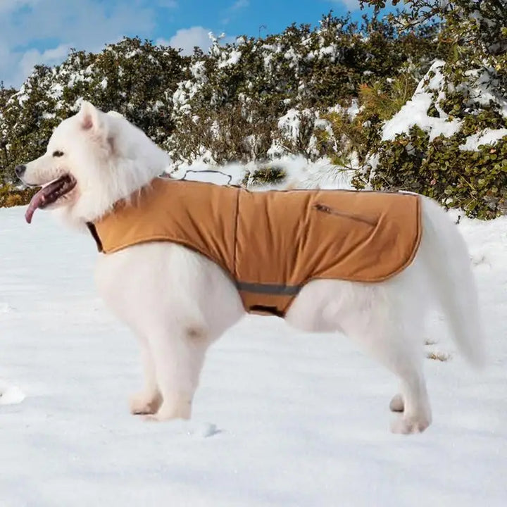 Elegant 4-legged turtleneck coat for small dogs