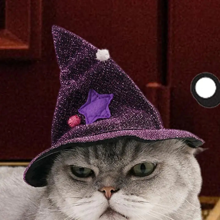 Dog &amp; Cat Witch Costume: Light, Shiny &amp; Irresistible