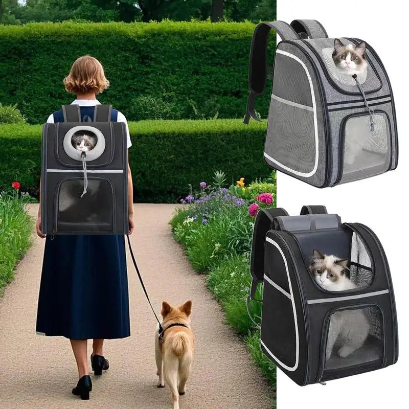 Cat &amp; small dog backpack: comfortable, foldable and always ready to go