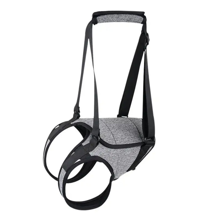 Back harness for older dogs, gentle and respectful support