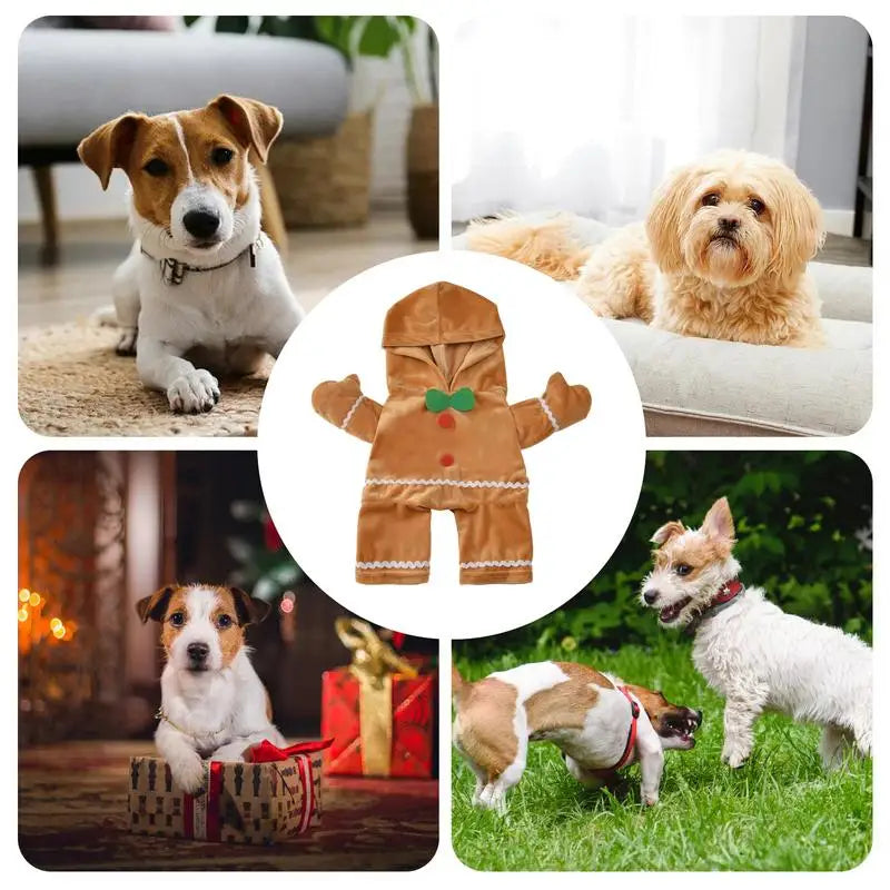 Gingerbread Dog Costume: Laughter, Sweetness, Memories